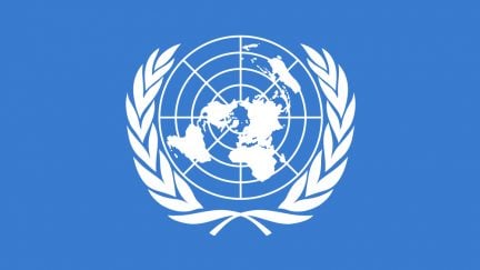 The united nations logo.