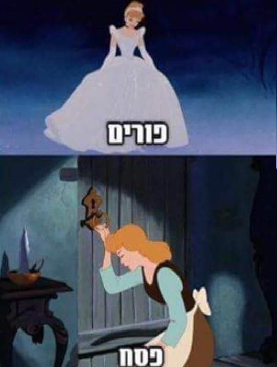 purim-pesach-meme