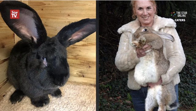 Pictured: Simon (left). Annette and Darius (right).