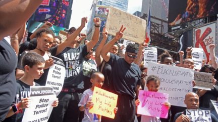 Credit: a katz / Shutterstock.com