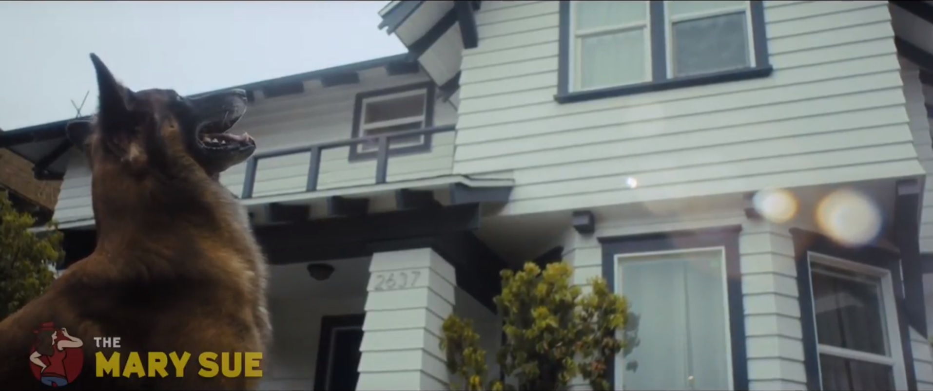 image: screencap A scene from Marianna Palka's feminist dark comedy "Bitch" starring Palka and Jason Ritter