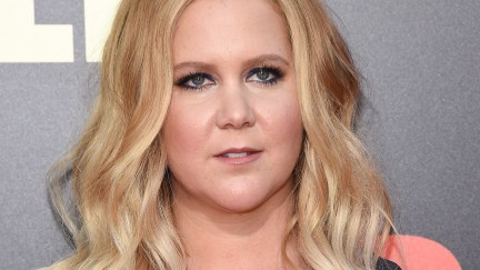 image: DFree/Shutterstock LOS ANGELES - MAY 10: Amy Schumer arrives for the 'Snatched' World Premiere on May 10, 2017 in Westwood, CA