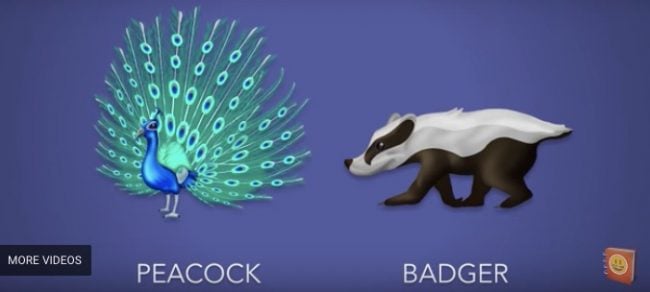 Peacock and Badger emojis