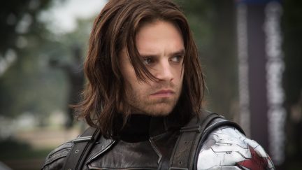 Sebastian Stan as The Winter Soldier