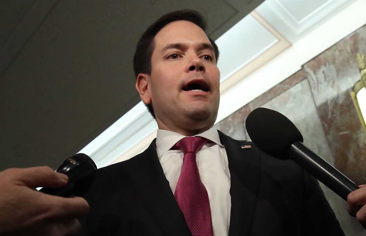 senator marco rubio