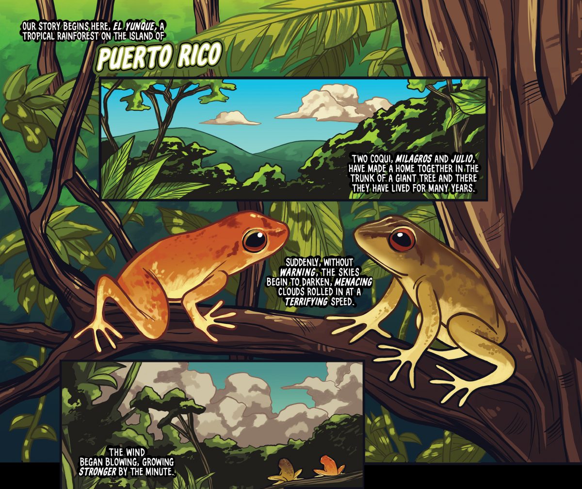 "Coqui" by Javier Muñoz and Sabrina Cintron for the "Ricanstruction" anthology for Puerto Rico
