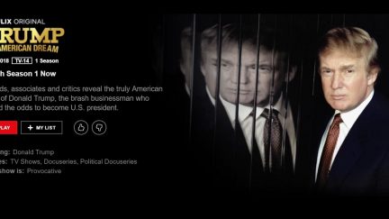 Screengrab of the Netflix summary for 
