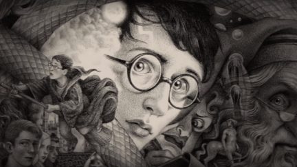 Harry Potter 20th Anniversary cover. Art by Brian Selznick.