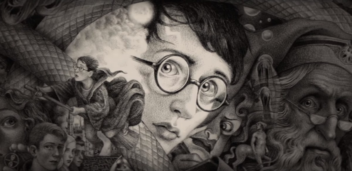 Harry Potter 20th Anniversary cover. Art by Brian Selznick.