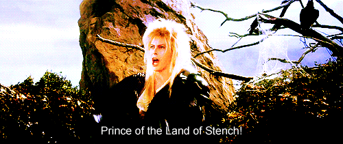 David Bowie in Labyrinth says "Prince of the Land of Stench"