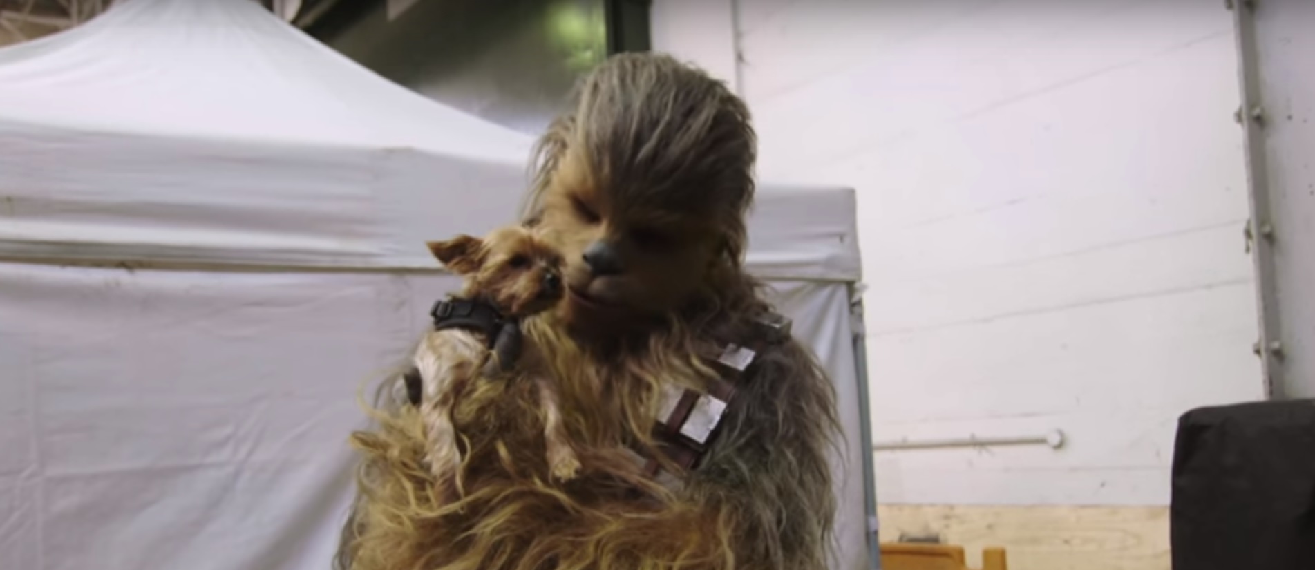 Chewbacca and friend on the set of 'Solo A Star Wars Story'