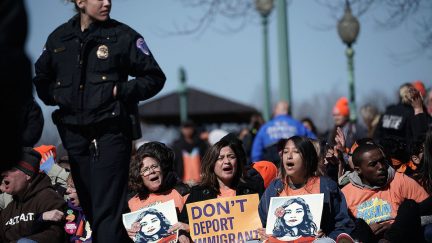 daca, immigration, animals, trump, racism, ms-13