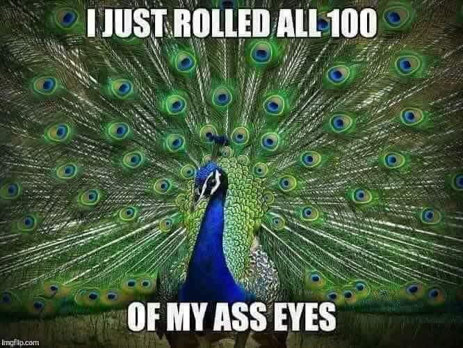 Peacock rolling 100 ass eyes