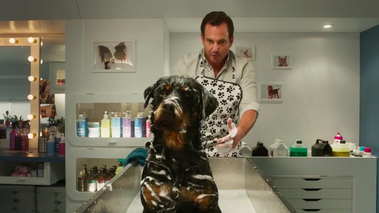 show dogs will arnett sexual abuse