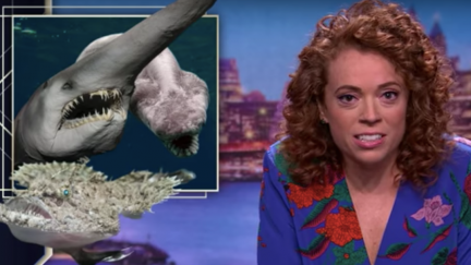 Michelle Wolf on Mental Health