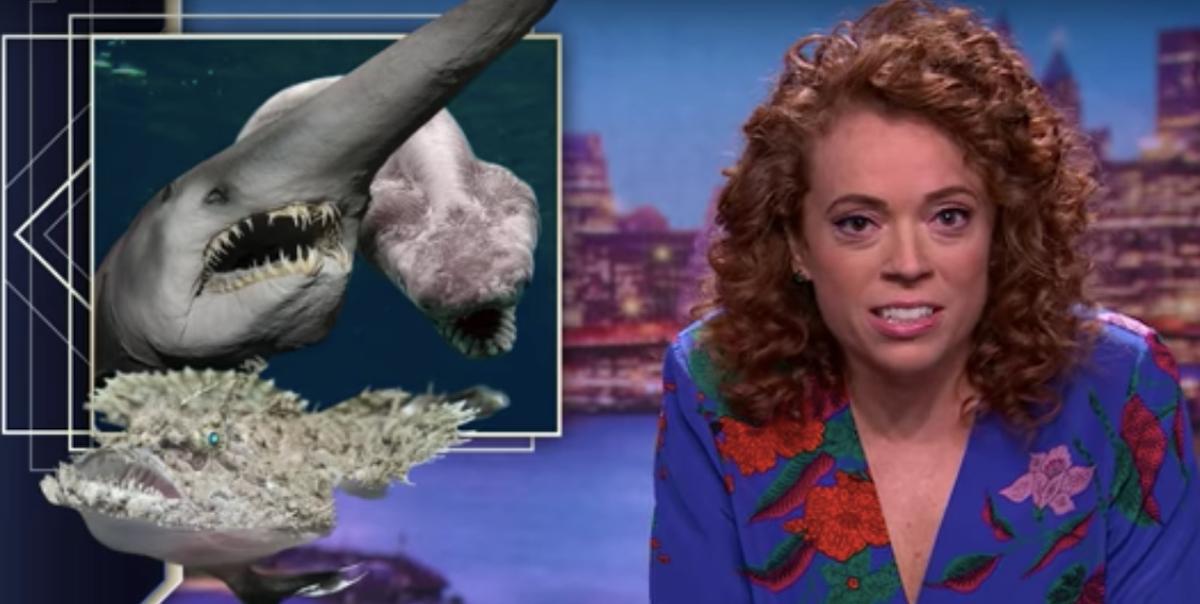 Michelle Wolf on Mental Health