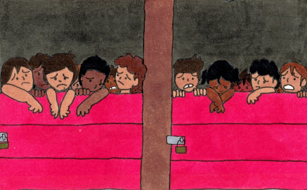 "Stable Genius" by Sasha Matthews