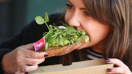 avocado toast, privilege, refinery29, money, money diaries