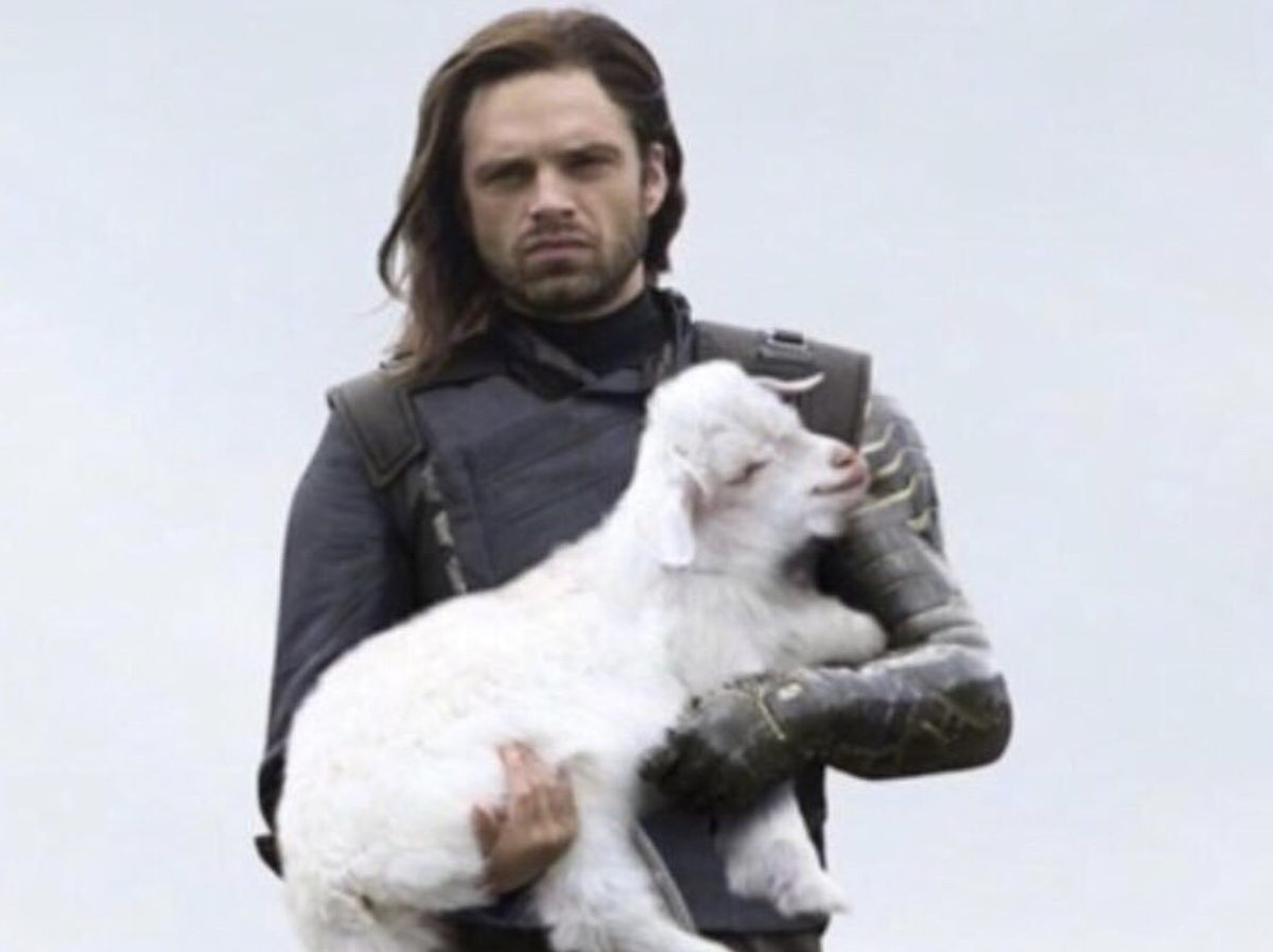 Bucky Barnes and goats