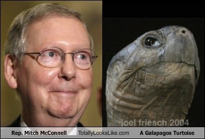 Mitch McConnell and Turtle