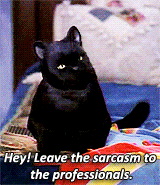 Salem says, "Leave the sarcasm to the professionals" in Sabrina the Teenage Witch