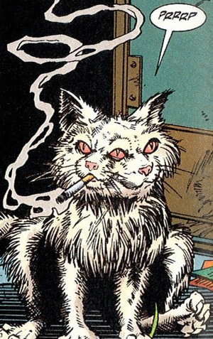 Cat in Transmetropolitan