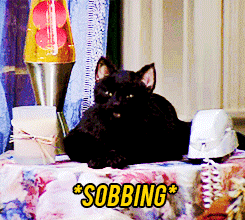 Sabrina the teenage witch Salem cat 