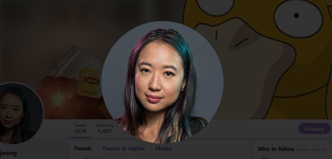 sarah jeong ny times twitter