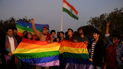 india gay marriage
