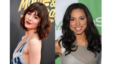 birds of prey huntress and black canary