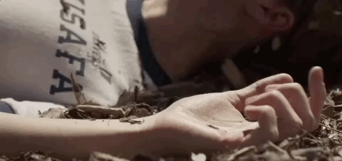 Brie Larson captain marvel