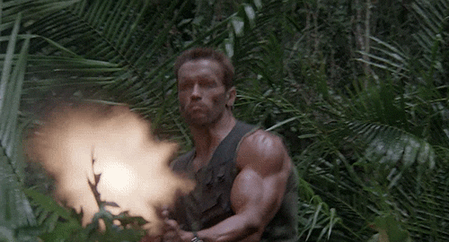 dutch schaeffer predator