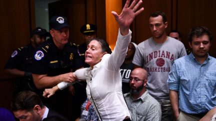 kavanaugh senate protests