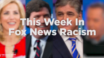 fox news racism daily show