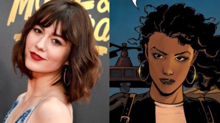 Mary Elizabeth Winstead and Huntress in DC Comics