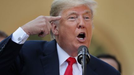 Donald Trump points to where his brain is supposed to be