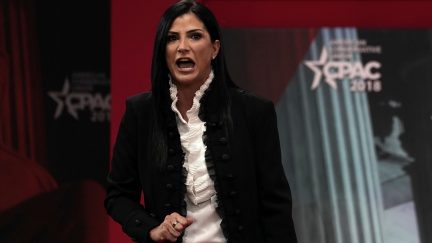 Dana Loesch on February 22, 2018 in National Harbor, Maryland.
