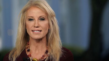 Kellyanne Conway, fox news, acosta, doctored, altered, video