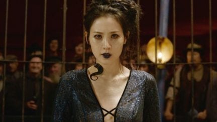 Nagini in fantastic beasts the crimes of grindelwald