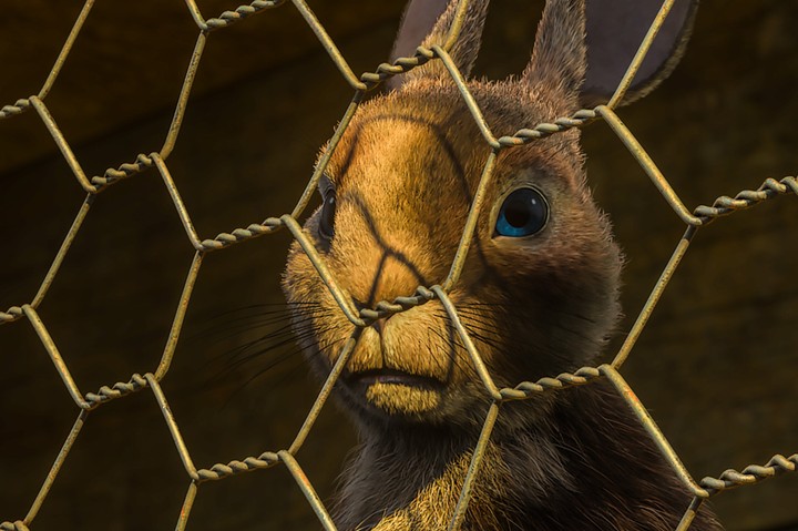 clover gemma arterton