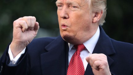 donald trump, interview, daily caller, tucker carlson