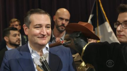 the late show with stephen colbert