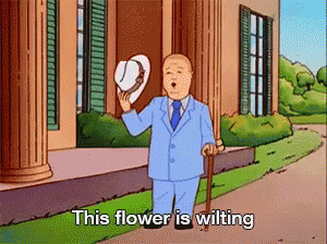 Bobby Hill This Flower is Whilting