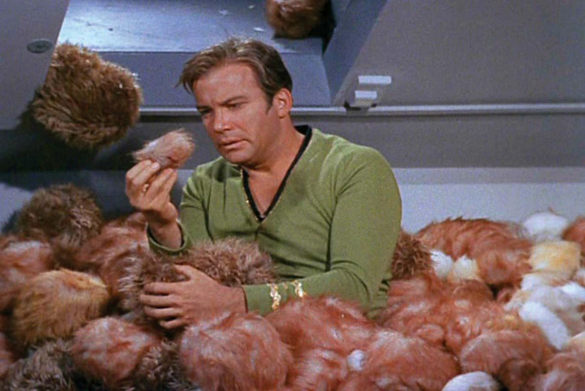 star-trek-the-trouble-with-tribbles-will