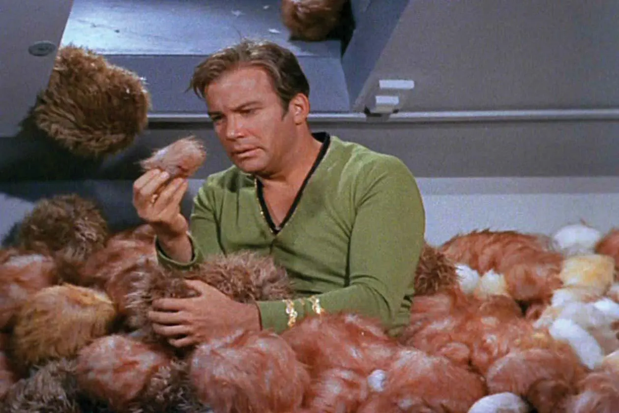 Captain Kirk (William Shatner) deals with tribbles in Star Trek: The Original Series.
