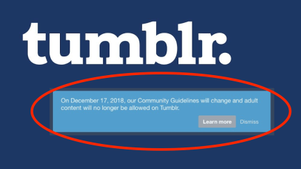 Tumblr will ban all adult content
