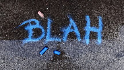 Blah by D Sharon Pruitt