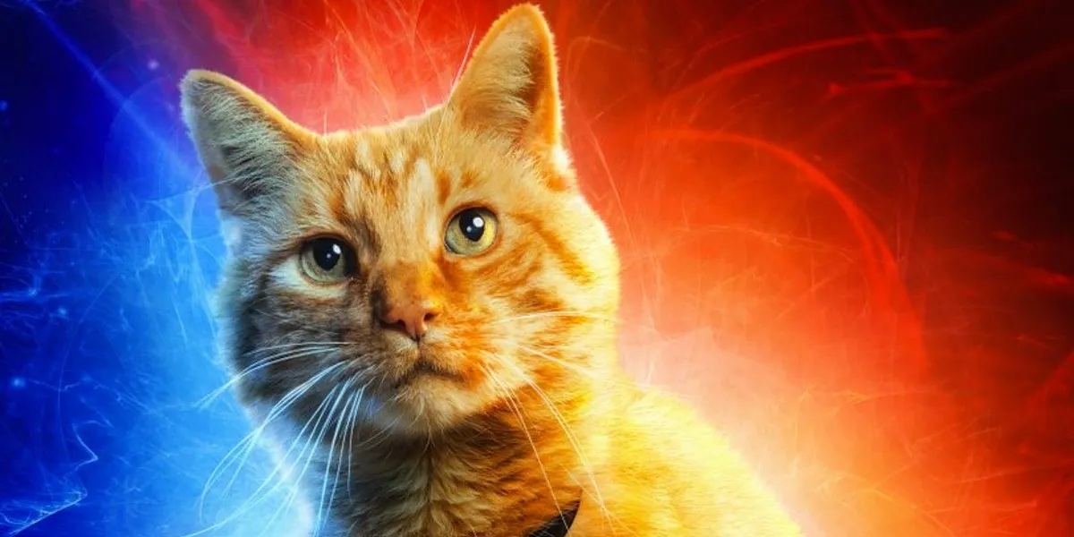 Captain Marvel new character posters tease old friends, new faces, and Goose the cat.