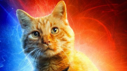 Captain Marvel new character posters tease old friends, new faces, and Goose the cat.