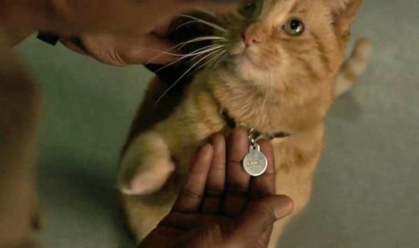 captain marvel goose collar